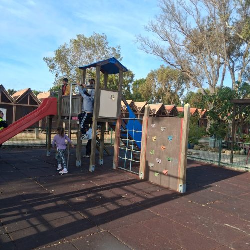 WhatsApp Image 2025-12-18 at 10.26.03 (1)