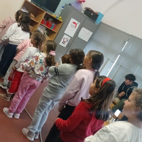 WhatsApp Image 2025-12-19 at 14.01.26 (4)