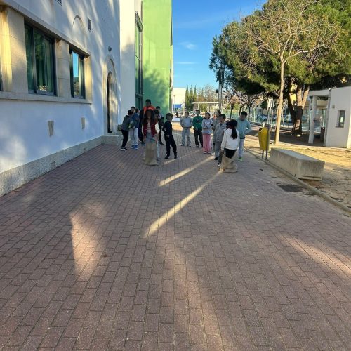 WhatsApp Image 2026-01-20 at 11.55.26