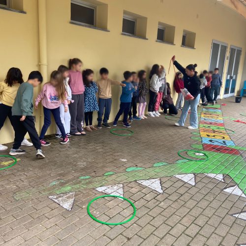 WhatsApp Image 2026-02-13 at 10.25.36 (1)