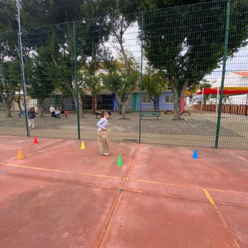 WhatsApp Image 2026-02-19 at 12.50.00