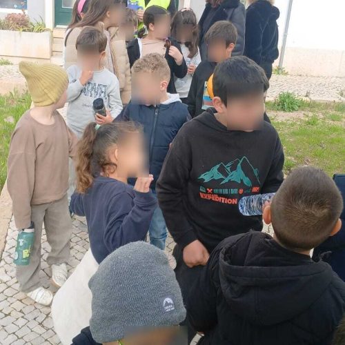 WhatsApp Image 2026-02-19 at 12.50.02