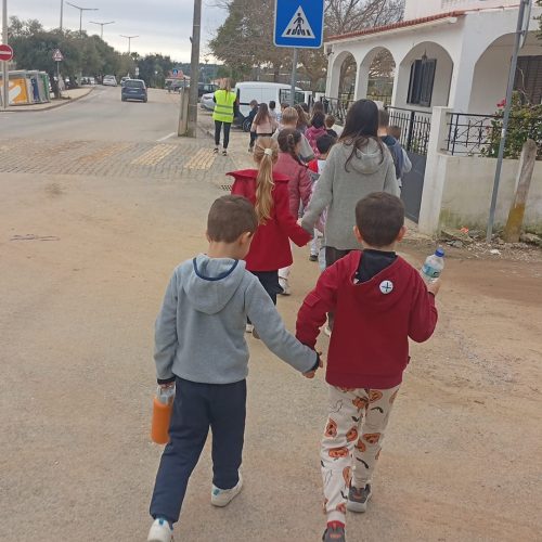 WhatsApp Image 2026-02-19 at 12.50.03 (1)