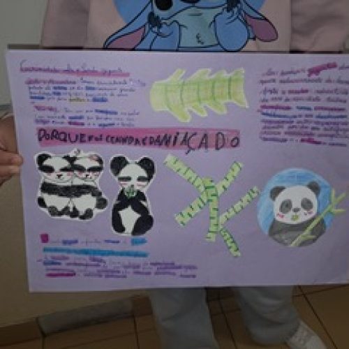 WhatsApp Image 2026-02-20 at 11.55.34