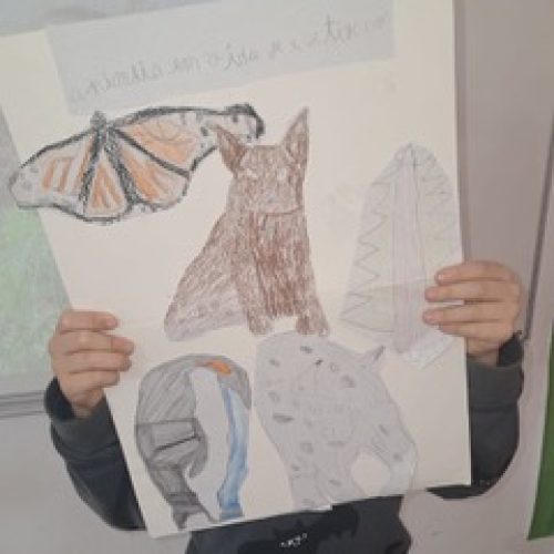 WhatsApp Image 2026-02-20 at 11.55.35 (4)