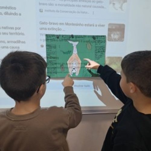 WhatsApp Image 2026-02-20 at 11.55.36 (2)