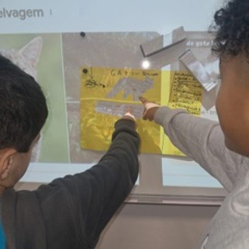 WhatsApp Image 2026-02-20 at 11.55.36