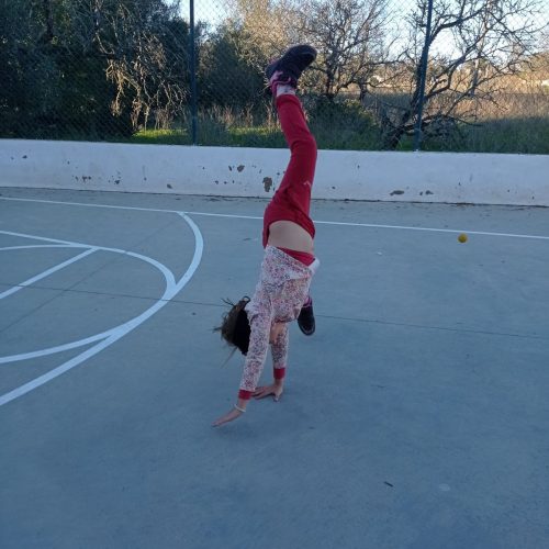 WhatsApp Image 2026-03-04 at 11.37.18