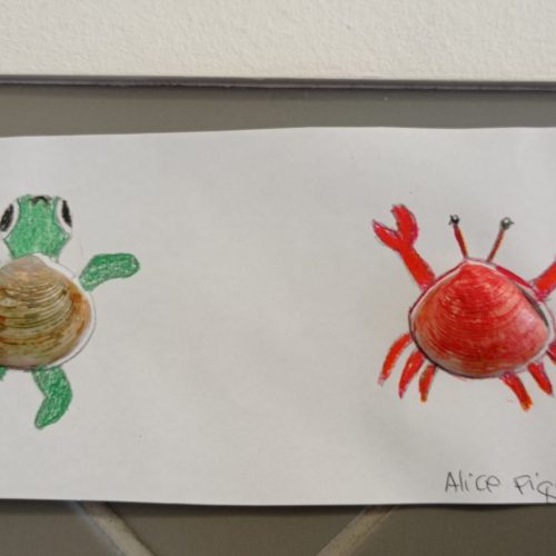 WhatsApp Image 2026-03-04 at 11.37.42