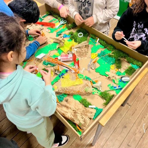 WhatsApp Image 2026-03-23 at 18.10.33 (1)