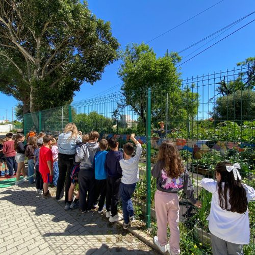 WhatsApp Image 2026-03-30 at 21.08.27 (1)