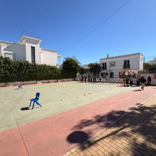 WhatsApp Image 2026-03-31 at 22.44.47