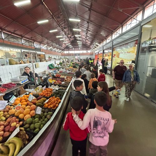 WhatsApp Image 2026-04-09 at 10.43.08 (2)