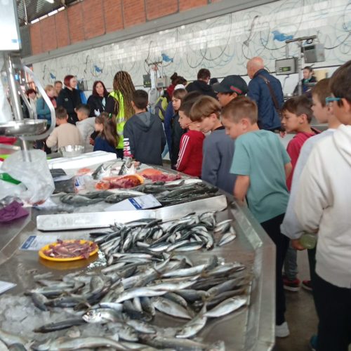 WhatsApp Image 2026-04-09 at 10.43.12 (2)