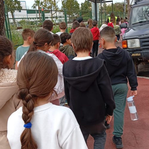 WhatsApp Image 2026-04-09 at 10.43.13 (4)