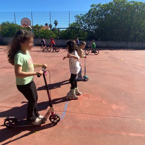 WhatsApp Image 2026-04-09 at 10.53.36 (1)