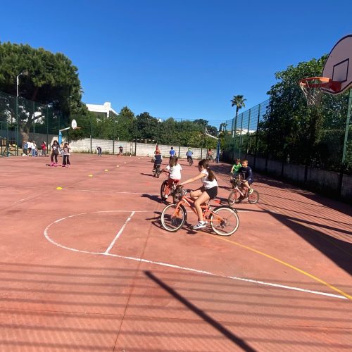 WhatsApp Image 2026-04-09 at 10.53.36