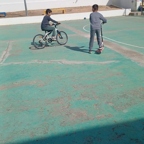 WhatsApp Image 2026-04-10 at 12.02.38