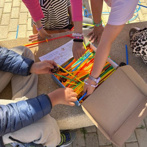 WhatsApp Image 2026-04-16 at 22.33.36